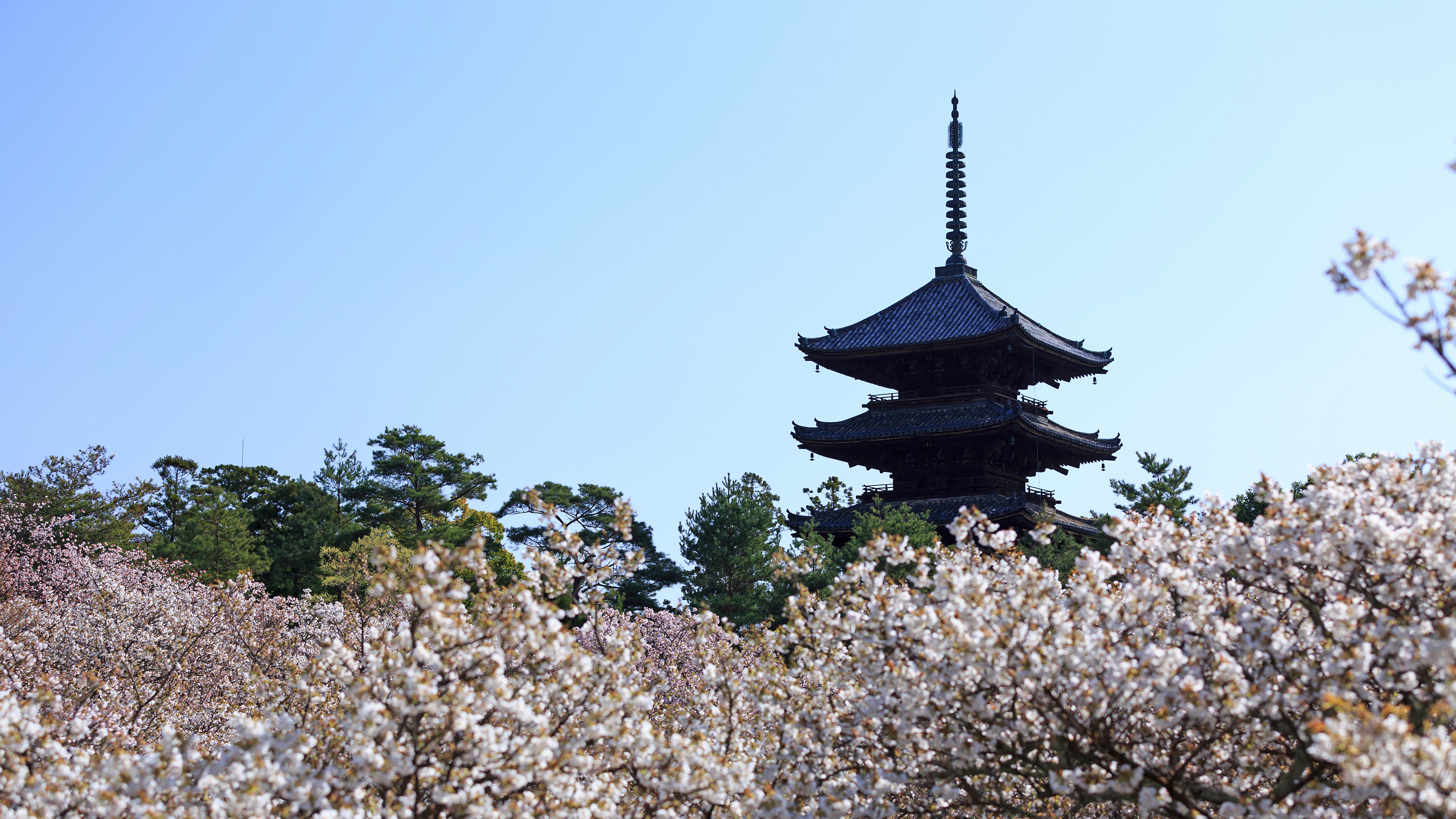 4k 13年 春の京都壁紙その9 計9枚 壁紙 日々駄文