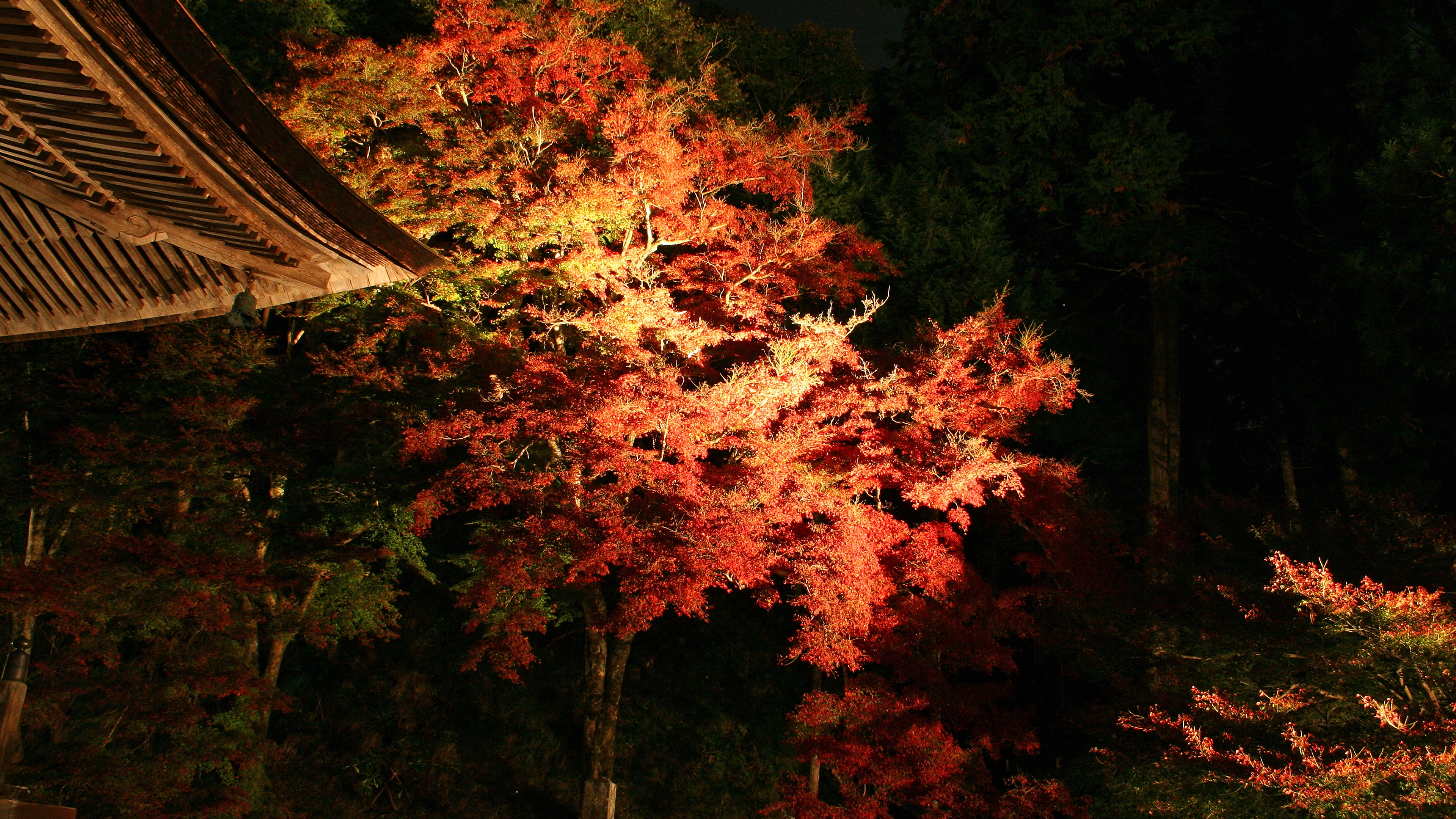 4k 04 07年 紅葉の京都壁紙 計10枚 壁紙 日々駄文