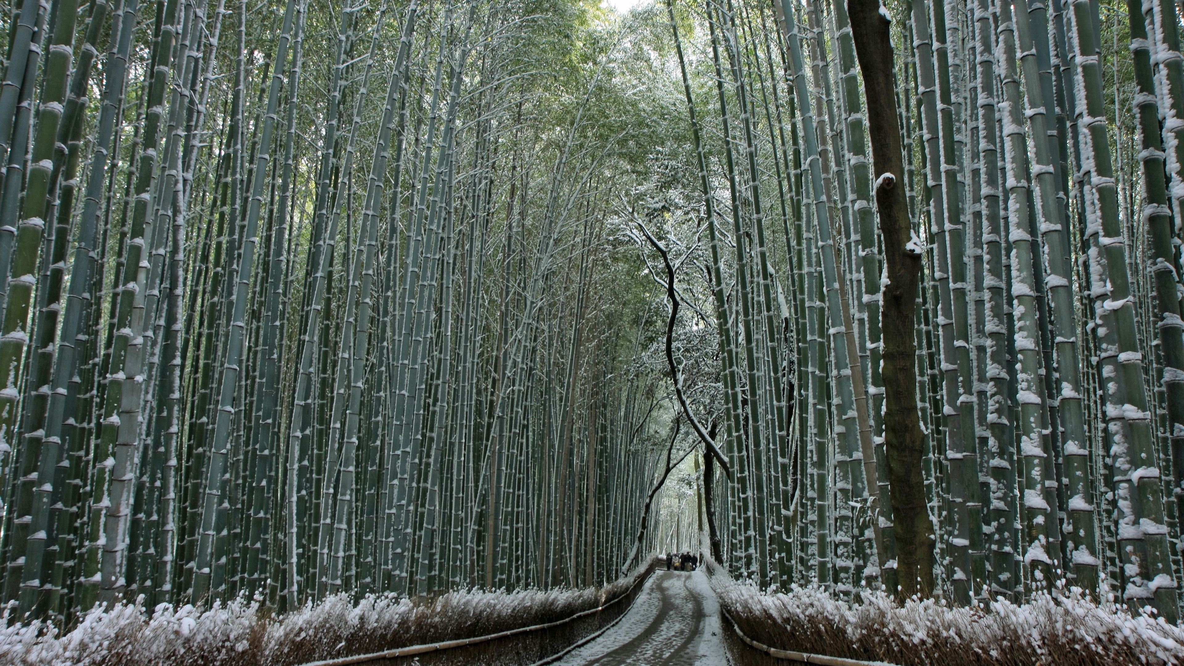 4k 2008年 雪の京都壁紙その6 計10枚 壁紙 日々駄文