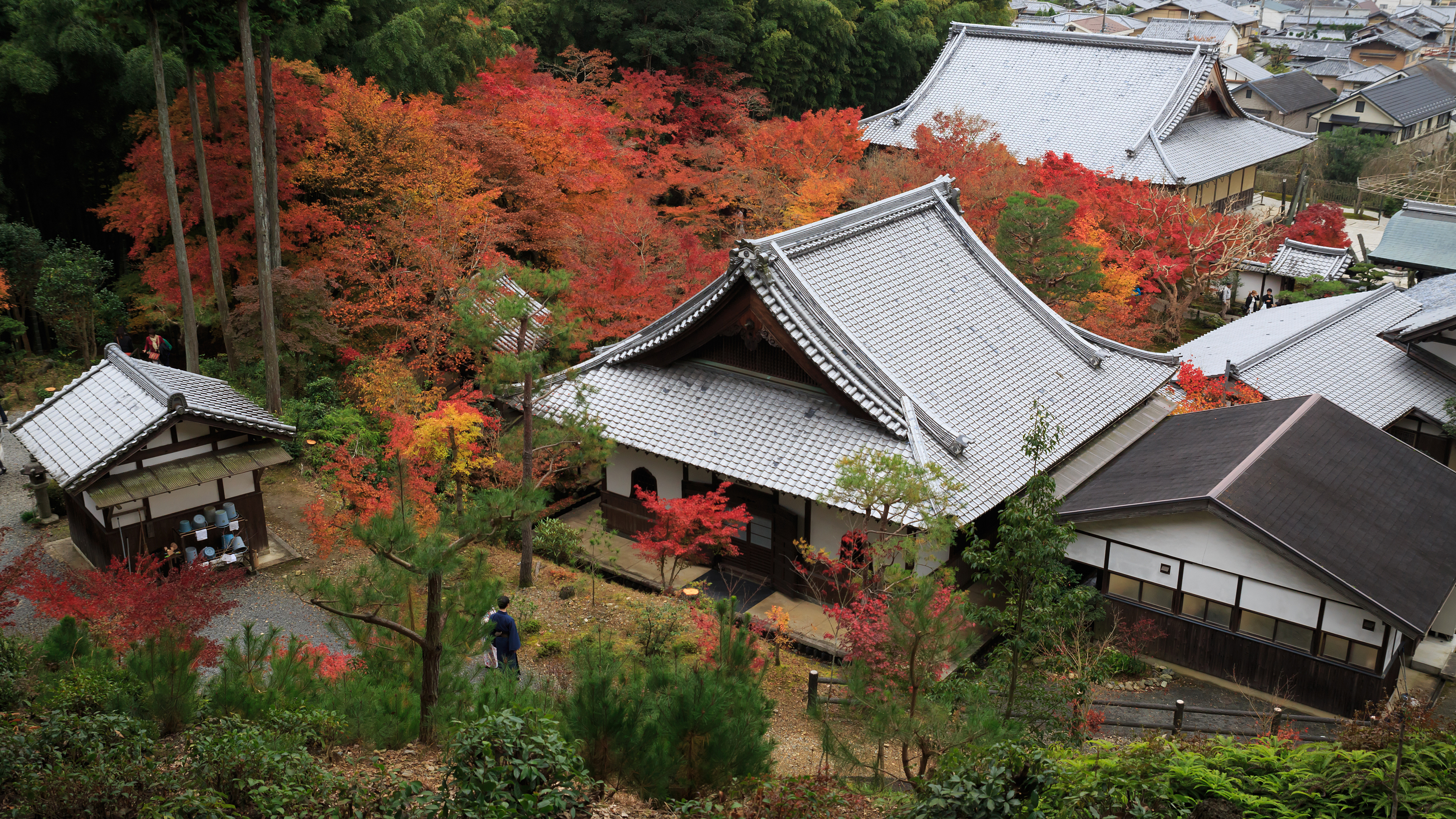 4k 16年 紅葉の京都壁紙その6 計10枚 壁紙 日々駄文