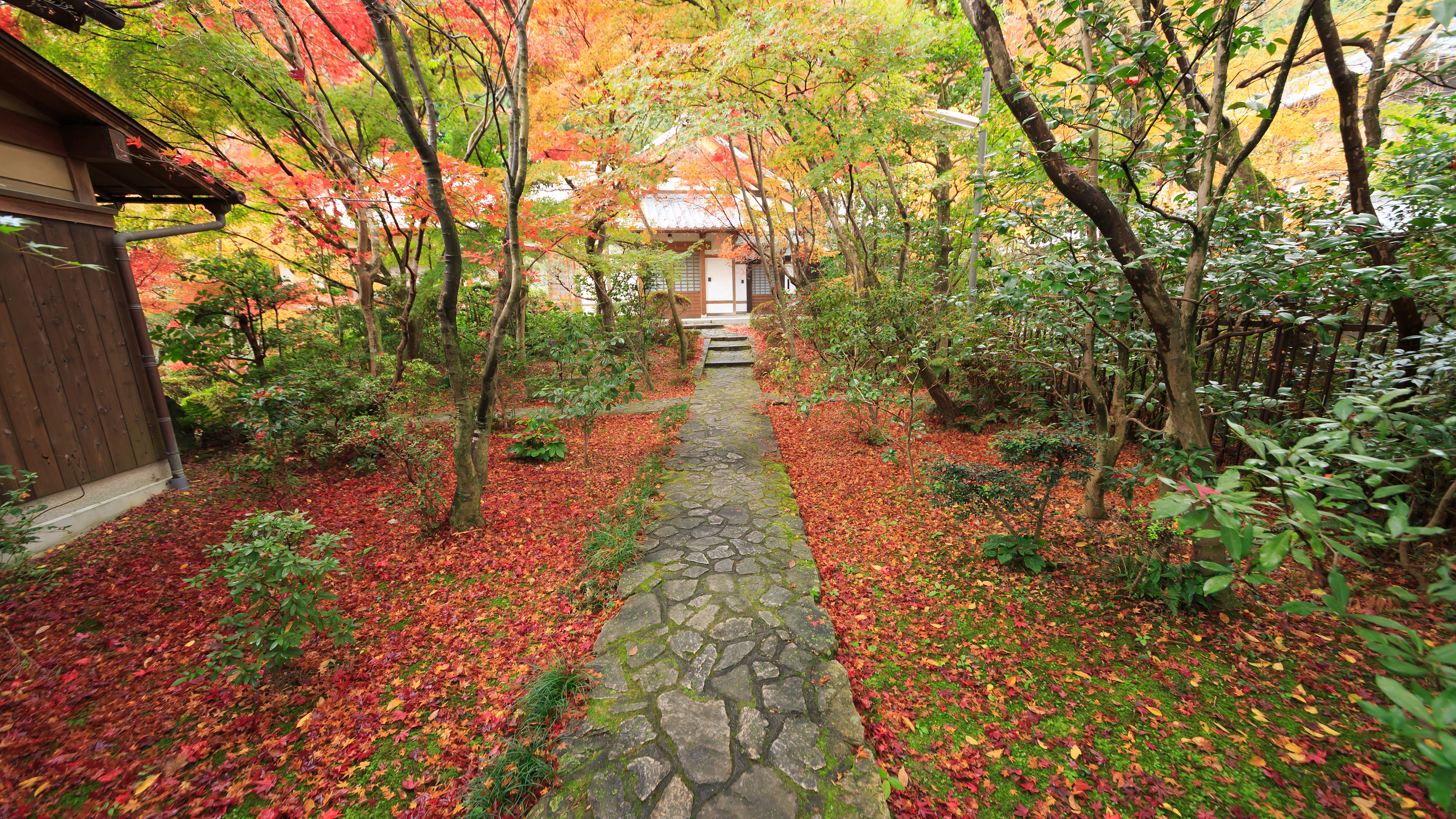 壁紙京都紅葉 ただのhd壁紙