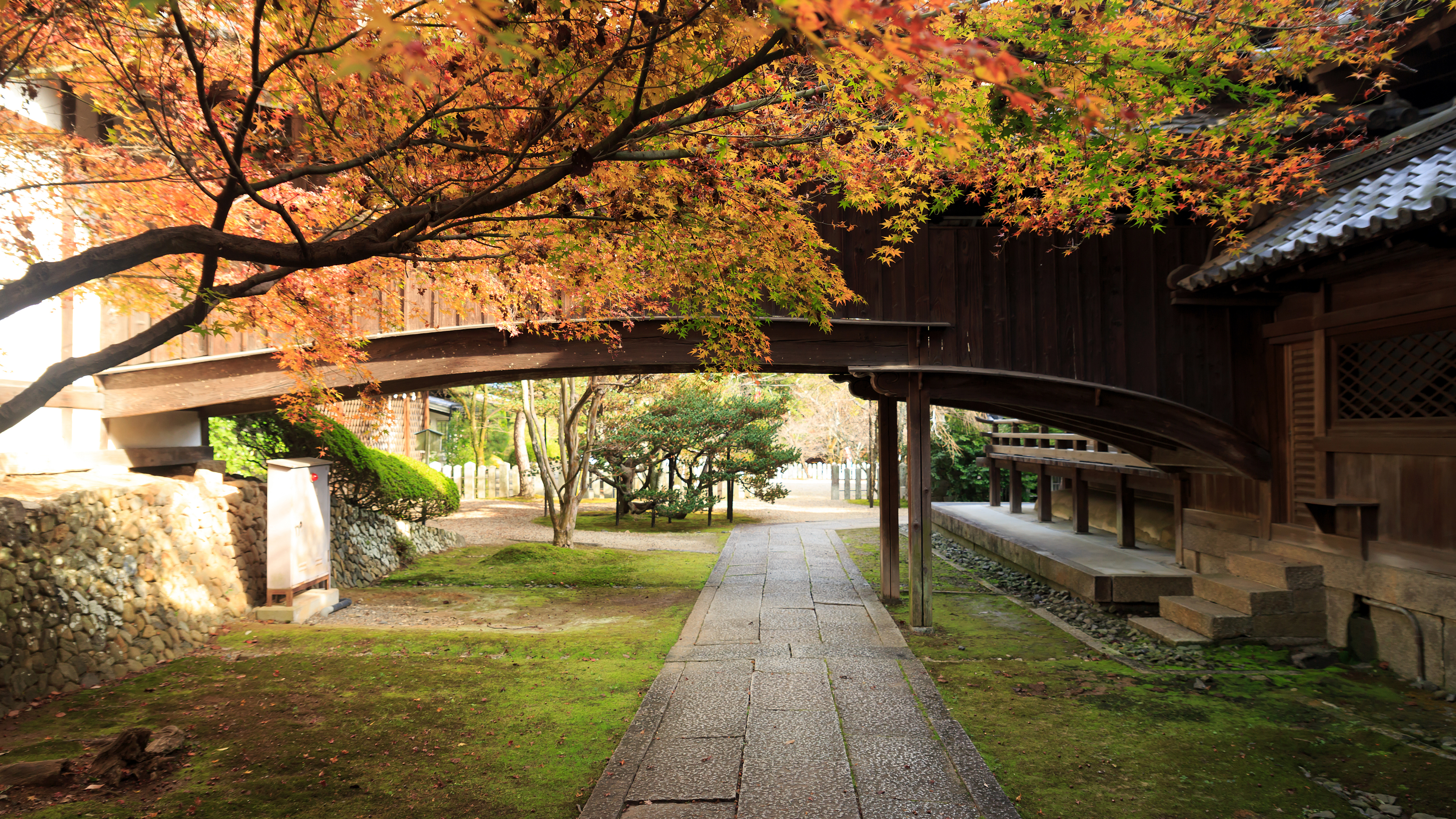 4k 16年 紅葉の京都壁紙その14 計11枚 壁紙 日々駄文