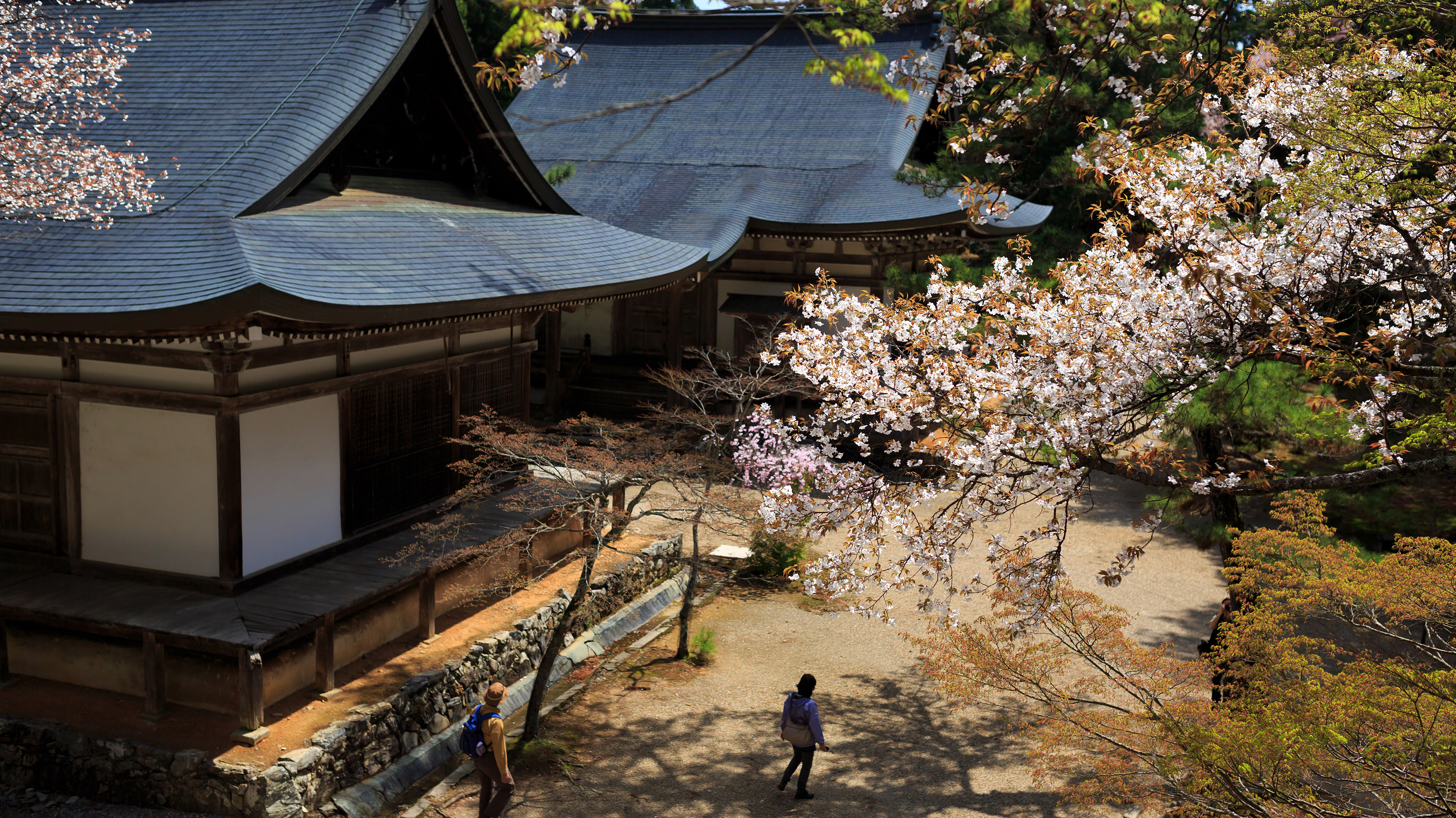 4k 13年 春の京都壁紙その13 計10枚 壁紙 日々駄文